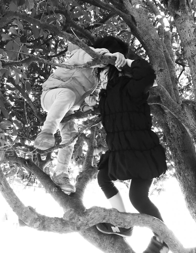 木登りをする子