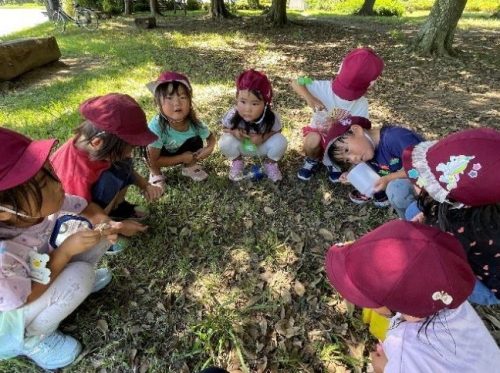 公園での作戦会議。